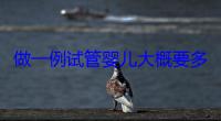 做一例试管婴儿大概要多长时间